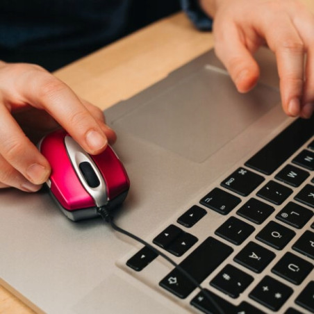 Mysz optyczna Verbatim Go Mini USB-A 1000 dpi różowa