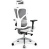 Fotel ergonomiczny biurowy obrotowy z regulacją Diablo Chairs V-Basic 